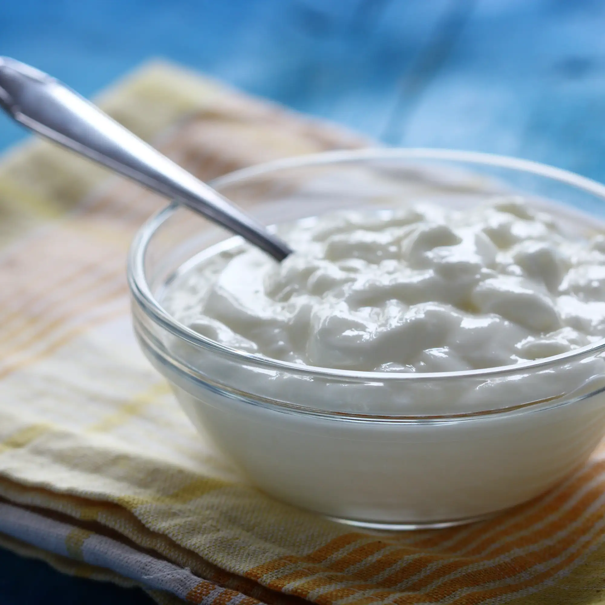 Curd & Yogurt