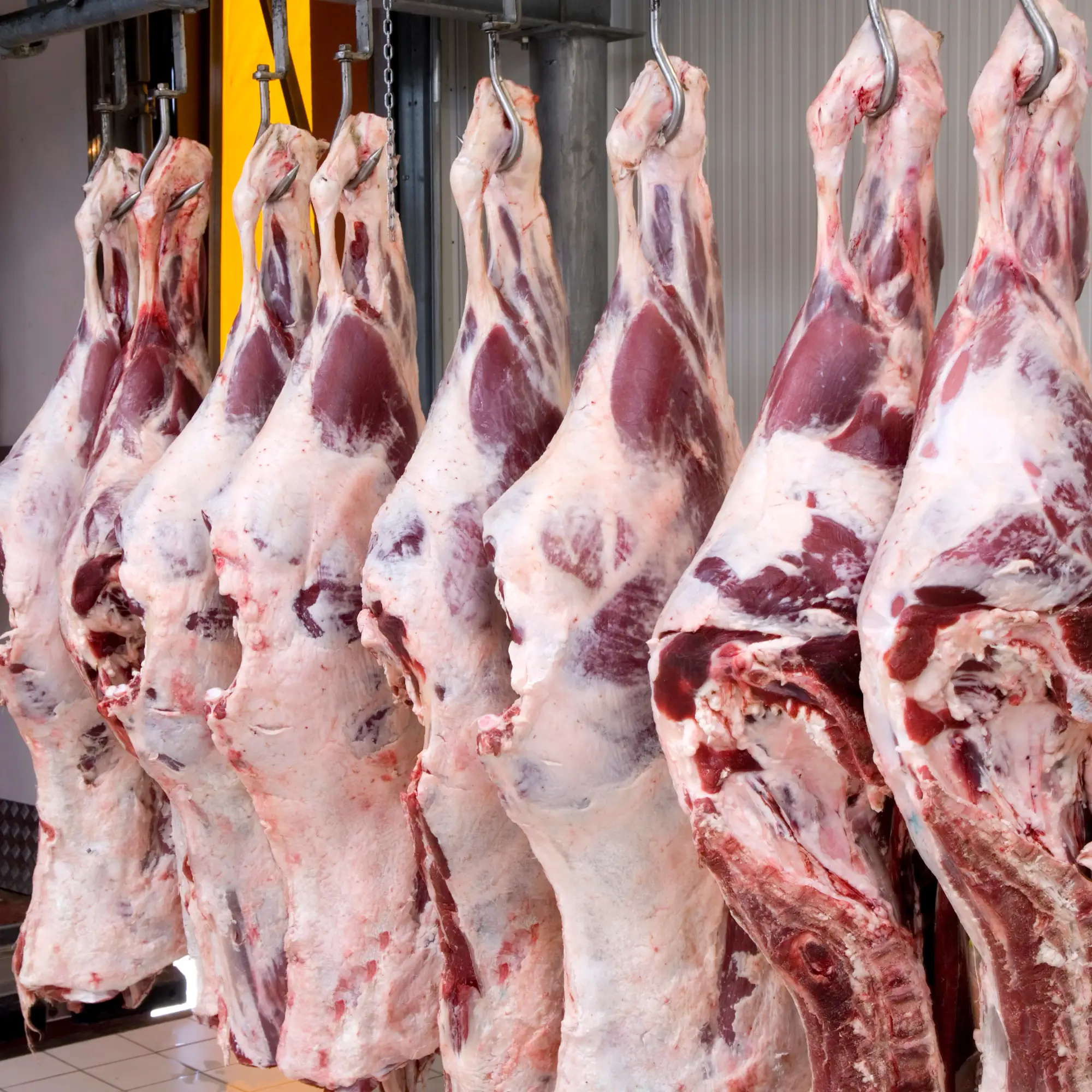 Slaughterhouse Wastewater