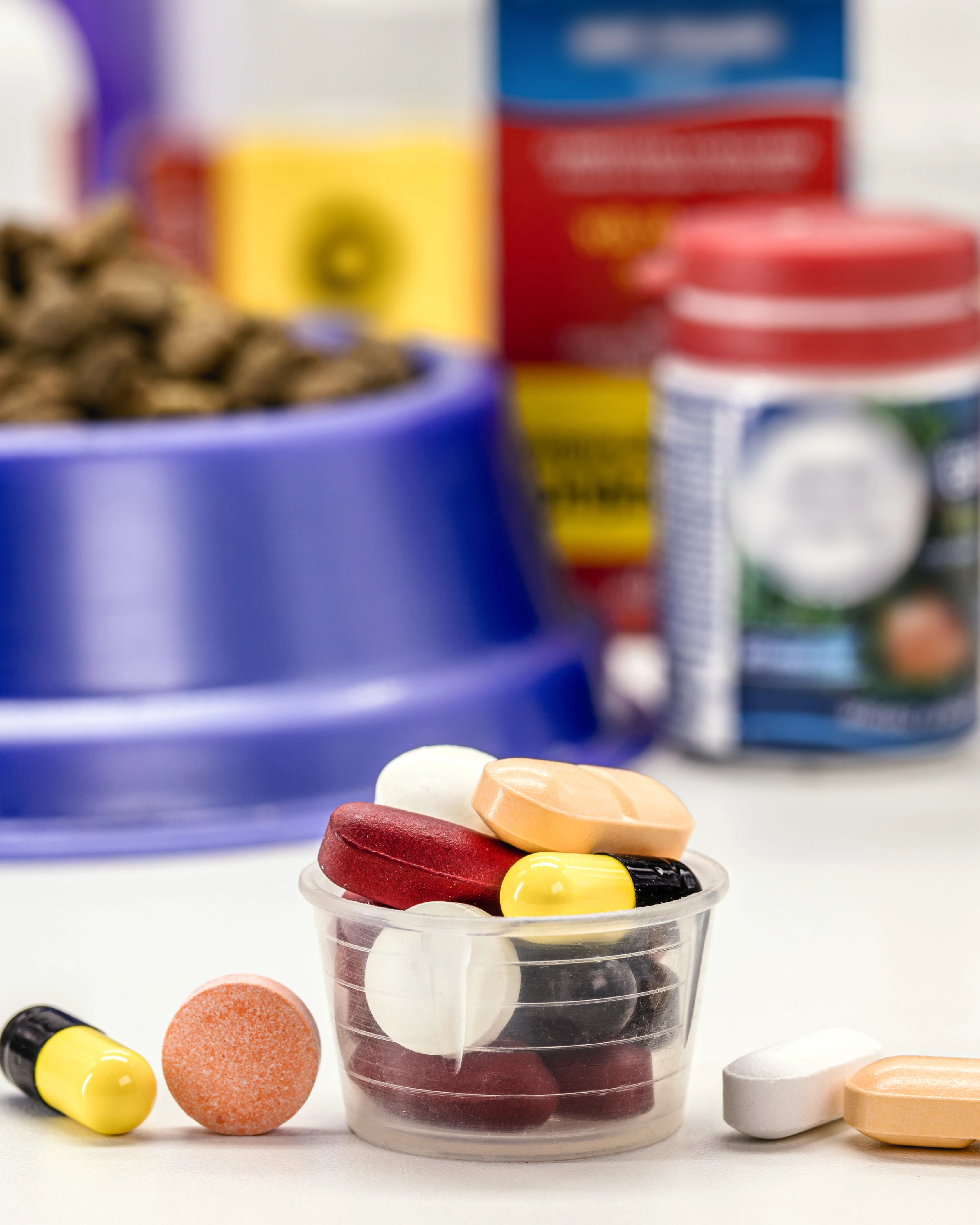 Pet Wellness / Supplements